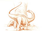 baby Apatosaurus ajax sketch