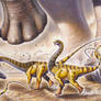 'Speedy' the sauropod