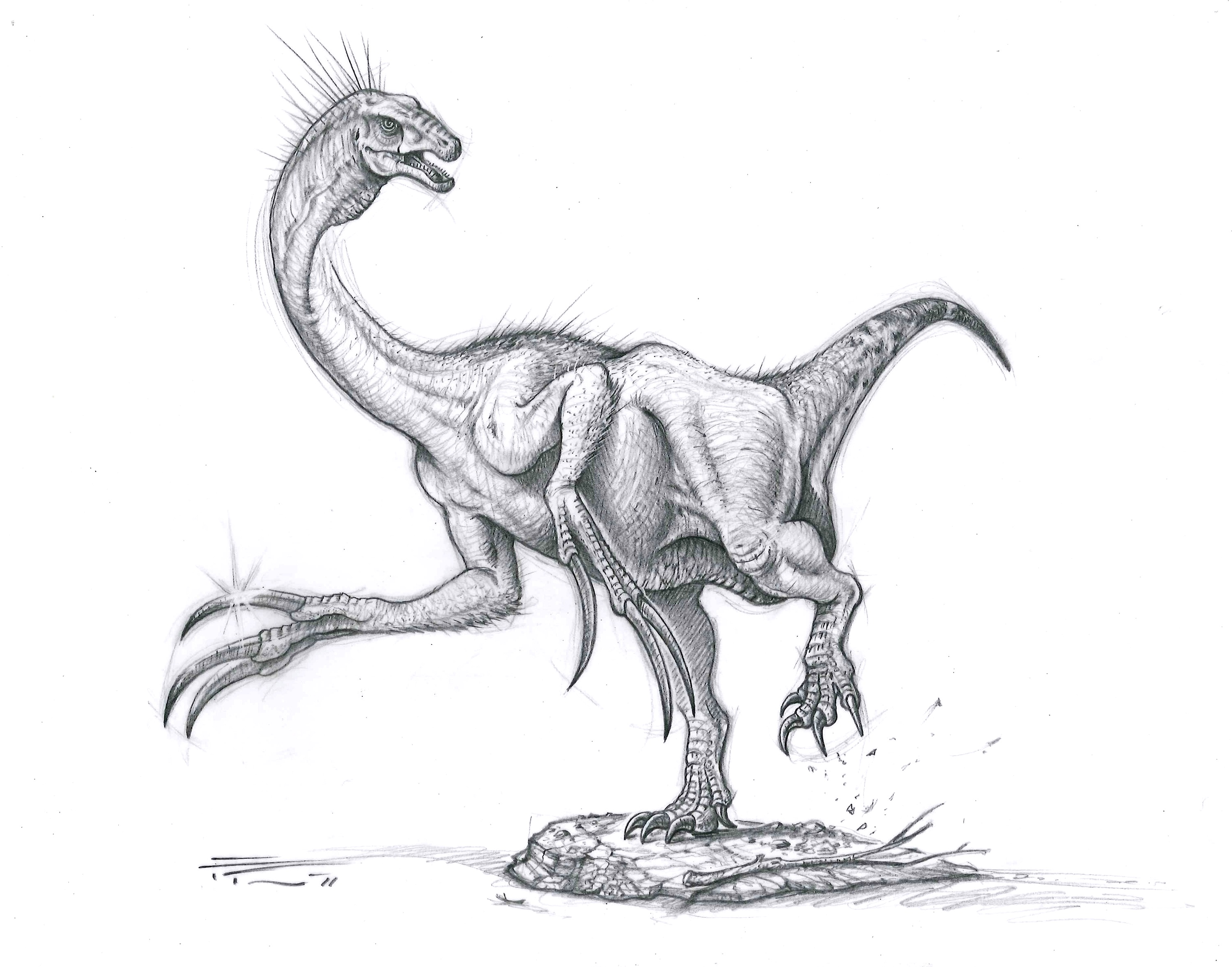 Therizinosaurus cheloniformis by PaleoPastori on DeviantArt