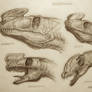 Family -Proceratosauridae-