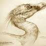 Velociraptor  mongoliensis
