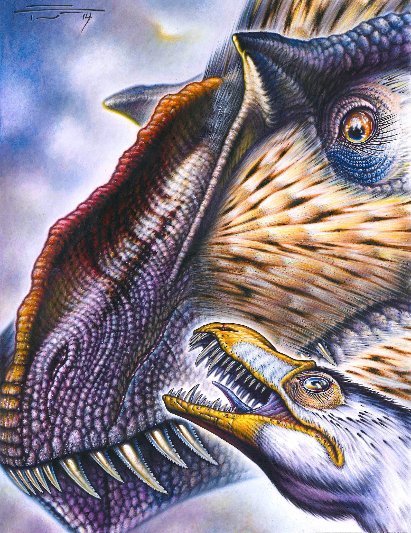 Dilong paradoxus and Yutyrannus huali