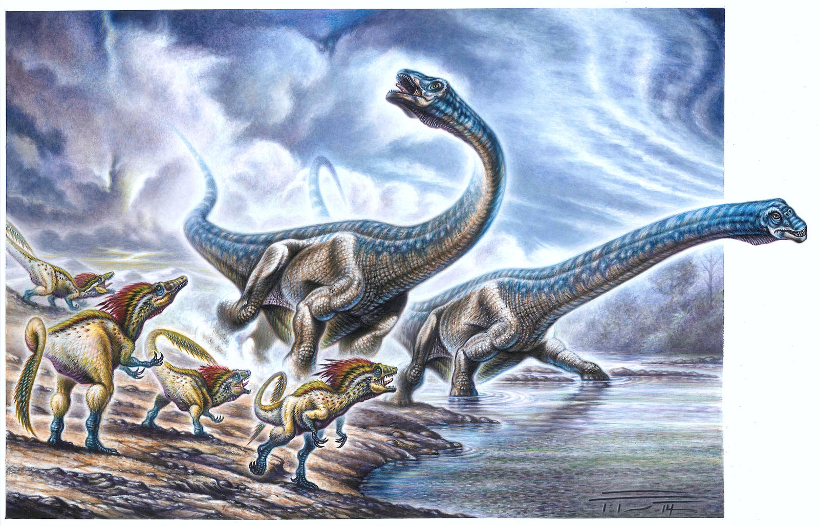 Dreadnoughtus schrani - Orkoraptor burkei