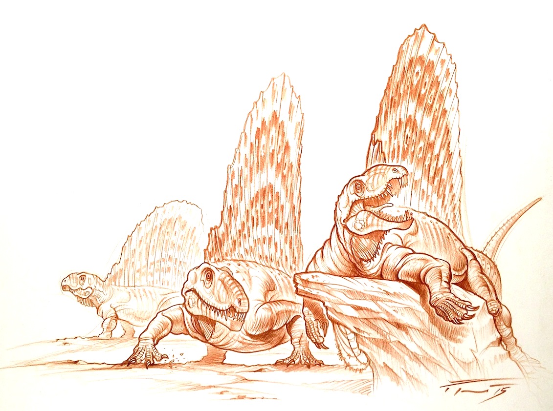 Dimetrodon