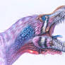 Tyrannosaurus rex BHIGR 3033 - Stan