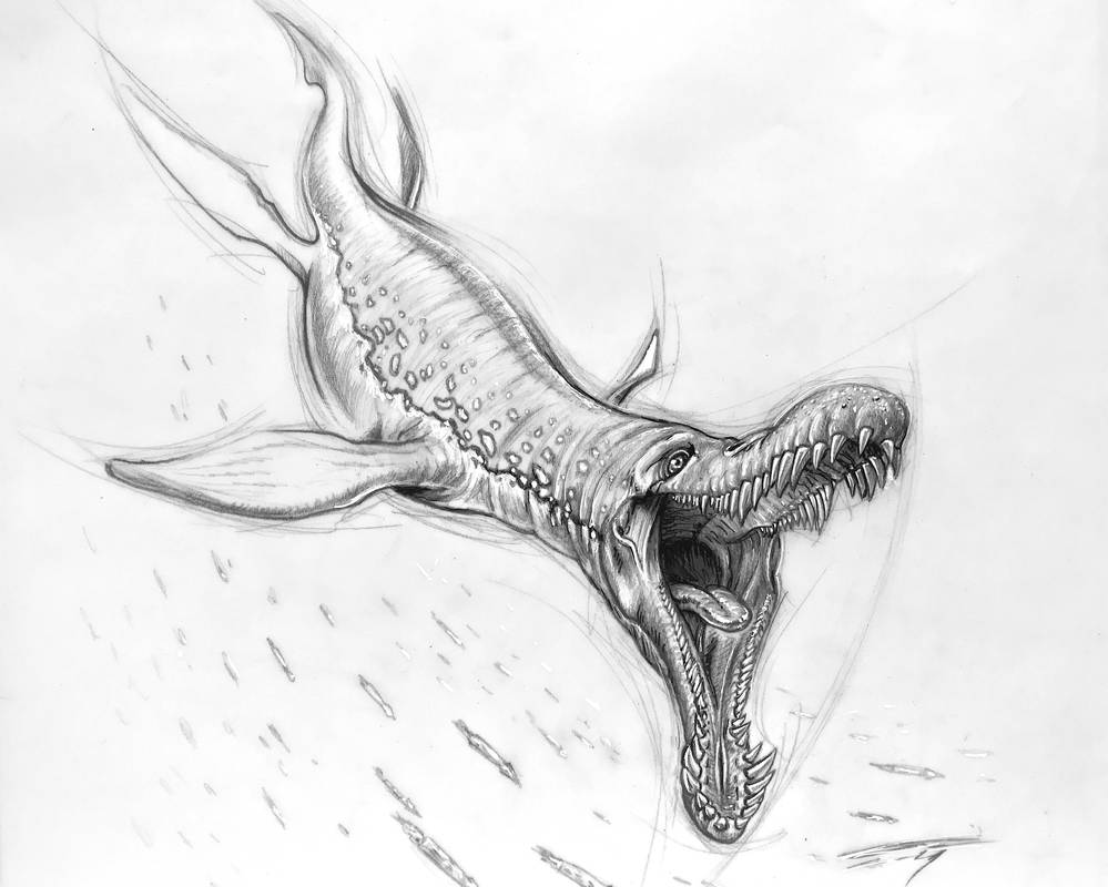 Pliosaurus by PaleoPastori on DeviantArt