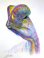 Dilophosaurus wetherilli