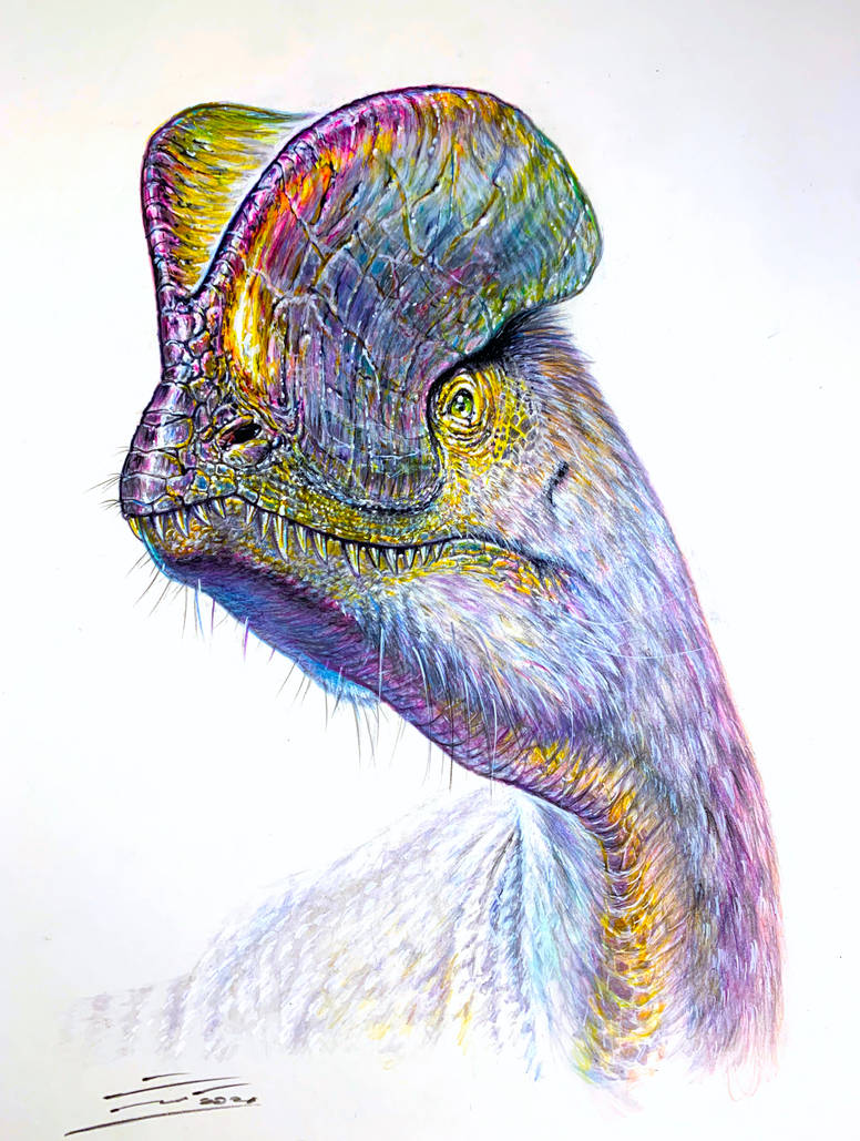 Dilophosaurus Wetherilli By Paleopastori On Deviantart Dilophosaurus Wetherilli By Paleopastori On Deviantart