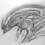 Giger's Alien Xenomorph