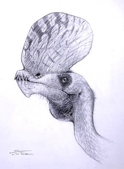 Raeticodactylus filisurensis