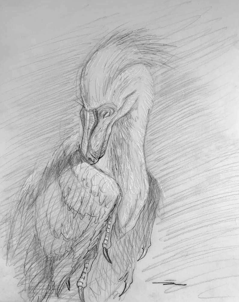 Sleeping Velociraptor by PaleoPastori on DeviantArt