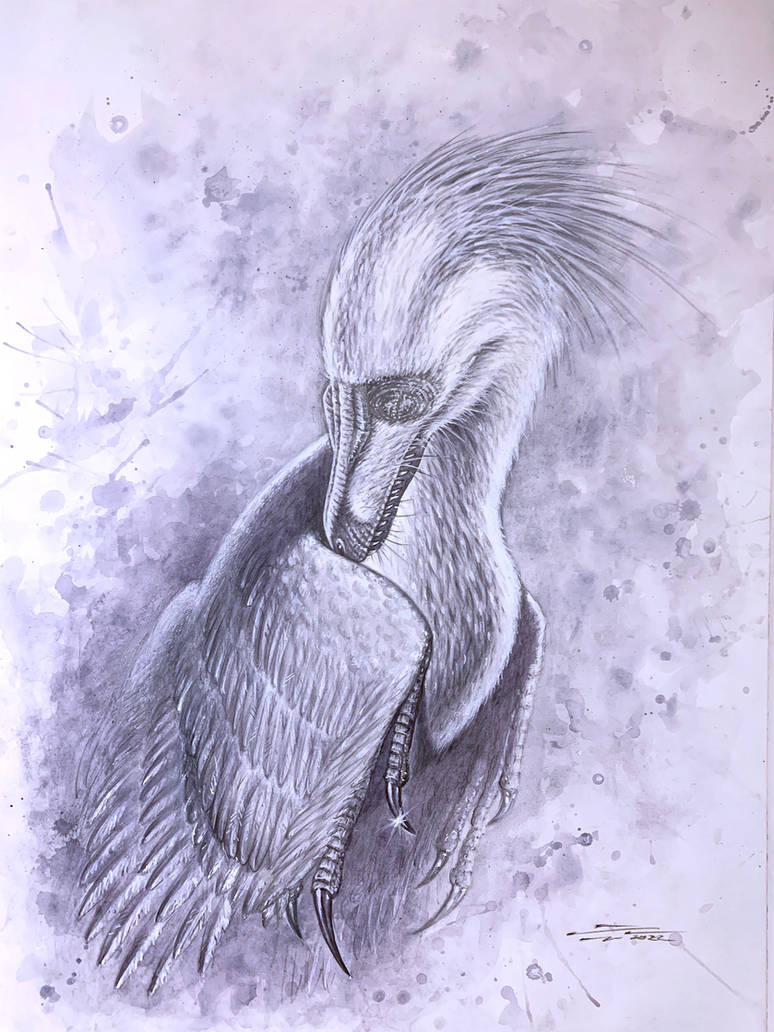 Sleeping Velociraptor by PaleoPastori on DeviantArt