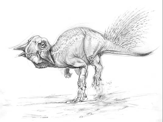 Psittacosaurus mongoliensis