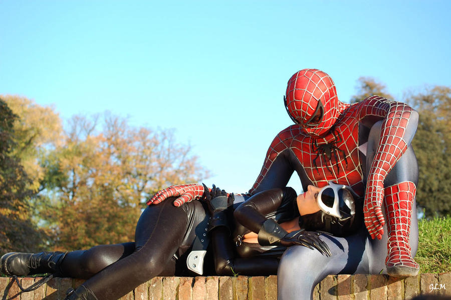 Cat and Spider