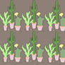 cacti bg