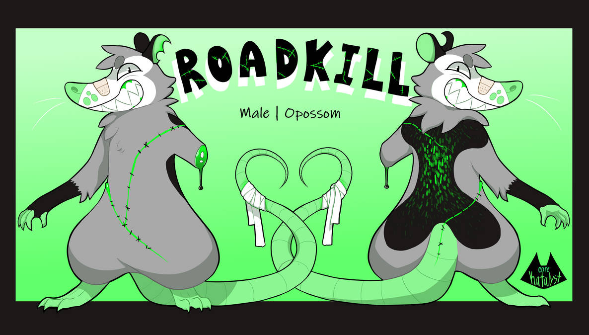 Road Kill Deviantart Roadkill Reference by CoreKatalyst on DeviantArt