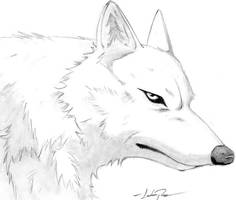 Wolfs Rain