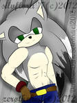 Zero The Hedgehog by Denisse-Dark-Soledad