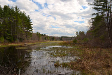 Clouds Over Marsh