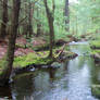 Bear Brook River (1)