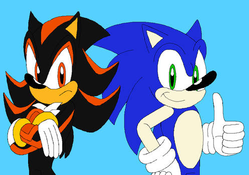 Sonic and Shadow