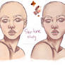 Skin Tone Study-WIP
