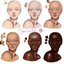 Skin Tone Study
