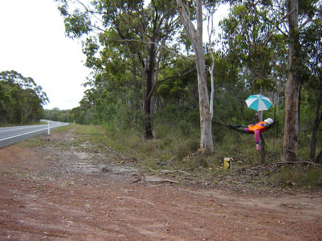 Dummy on the side of the road