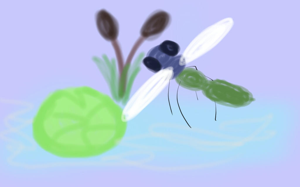 Fly Bug Deviantart FLYING INSECT by RinChan767 on DeviantArt