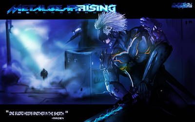 FANART: METAL GEAR RISING