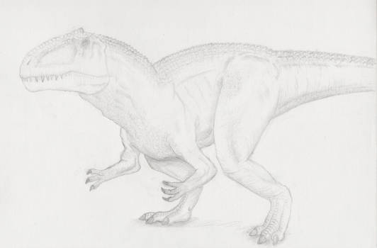 Female Giganotosaurus carolini