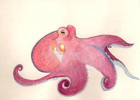 Octopus