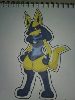 Lucario :3 shiny