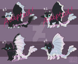 [OPEN 2/4] Nightlight Adopts