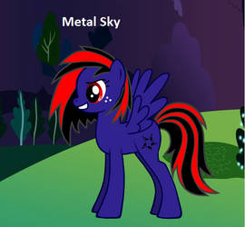 My OC Pony, Metal Sky