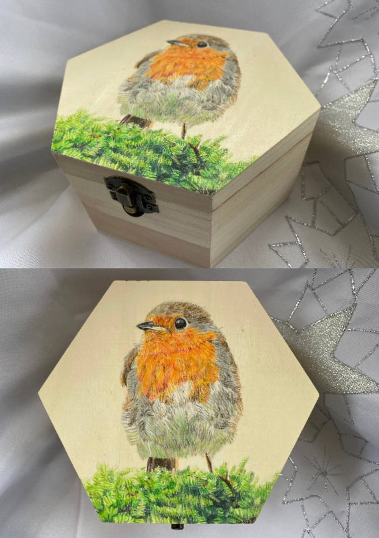 Robin keepsake box (splash of green variant) by gardehero on DeviantArt