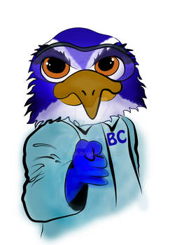 Uncle Sam The Seahawk Scientist