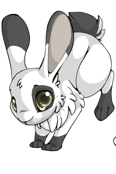 Oreo the rabbit by SuperTheFluffyLizard on DeviantArt