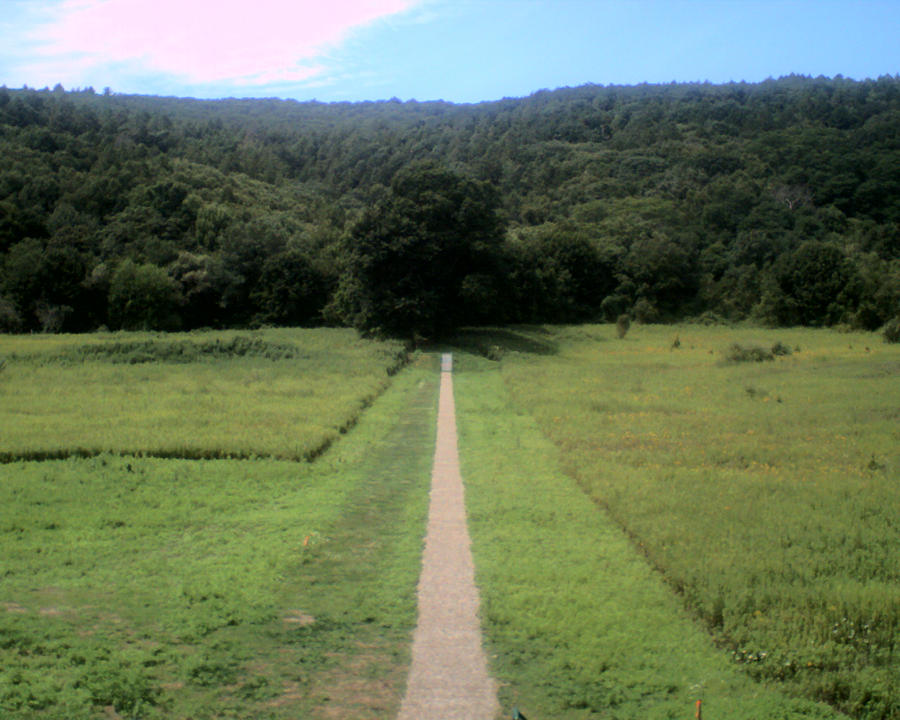 the same path by epicelisabeth31 on DeviantArt