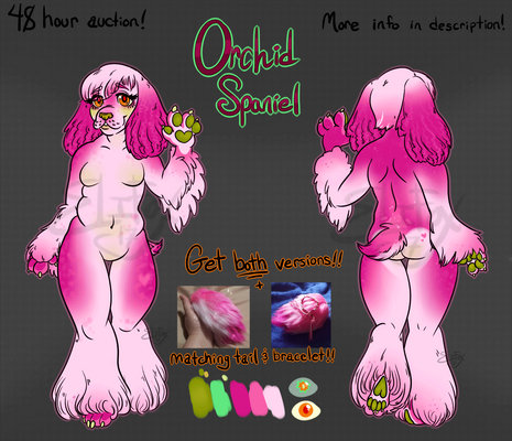 Orchid Spaniel (closed)