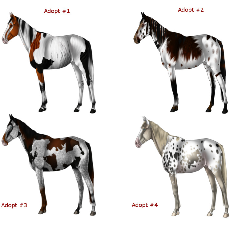 Adoptable Horses [Open]