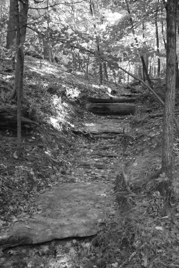 Starved Rock by LindsayLittle on DeviantArt