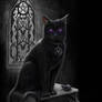 Witches Black Cat