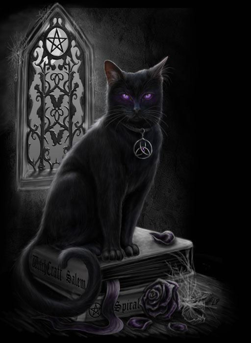 Witches Black Cat