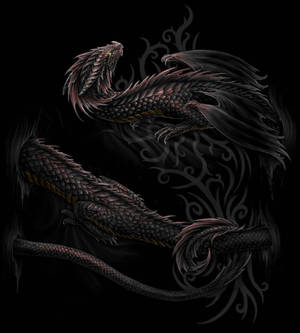 Serpent/ Dragon wrap