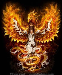 Birth of the Phoenix!