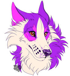 flat headshot: purple qt