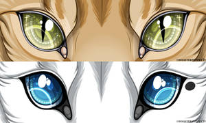 Eye bannerx2
