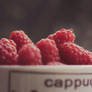 Raspberries