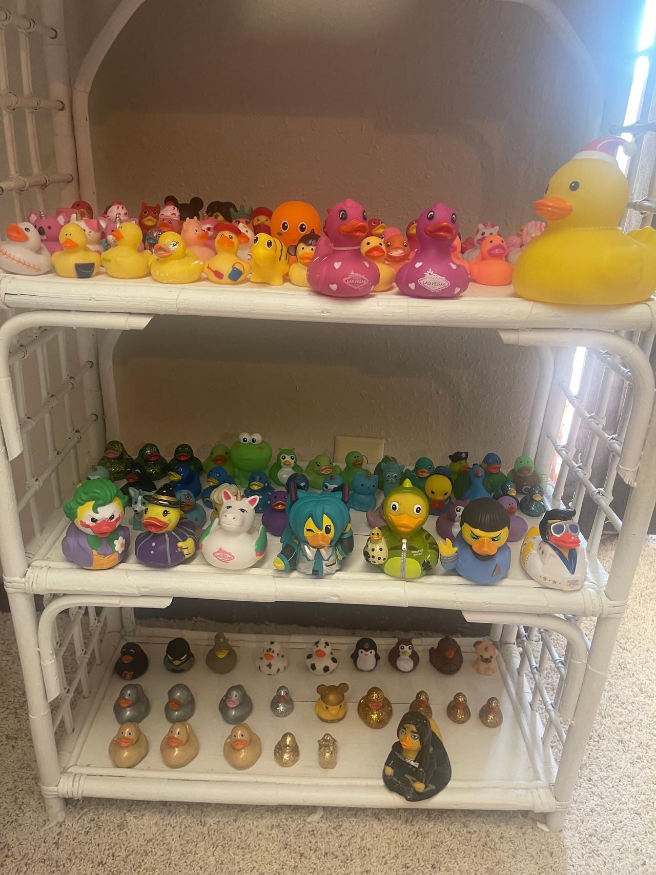 My Rubber Duck Collection By Sundrop2 On DeviantArt my-rubber-duck-collection-by-sundrop2-on-deviantart